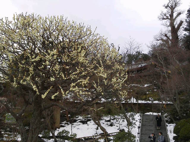 ファイル 79-5.jpg